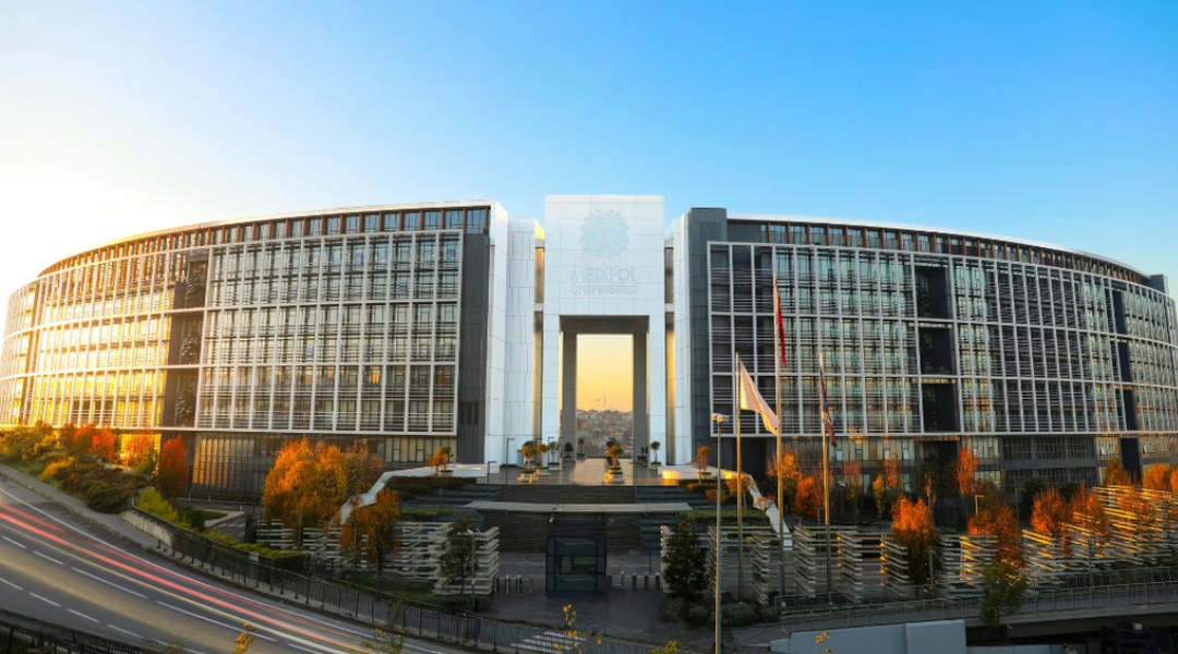 Untitled design (31)